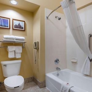 Superior King Suite Non-Smoking
